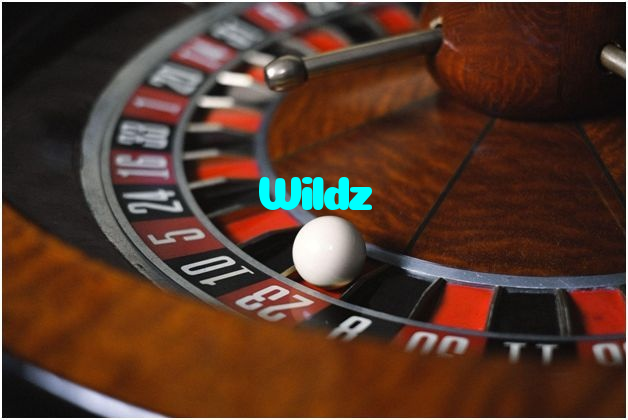 Wildz